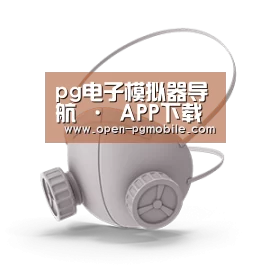 N95 口罩