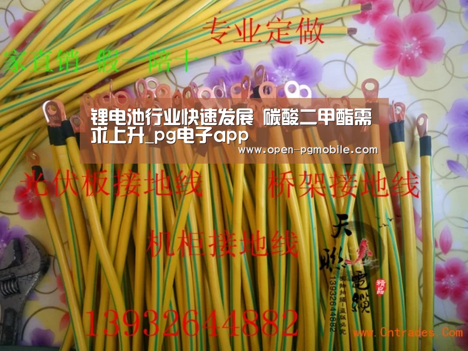 锂电池行业快速发展 碳酸二甲酯需求上升_pg电子app(图1) pg电子下载