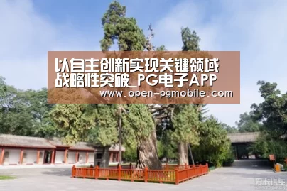 pg电子app