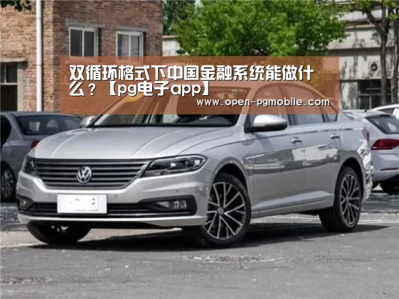 双循环格式下中国金融系统能做什么?【pg电子app】(图1) PG电子APP